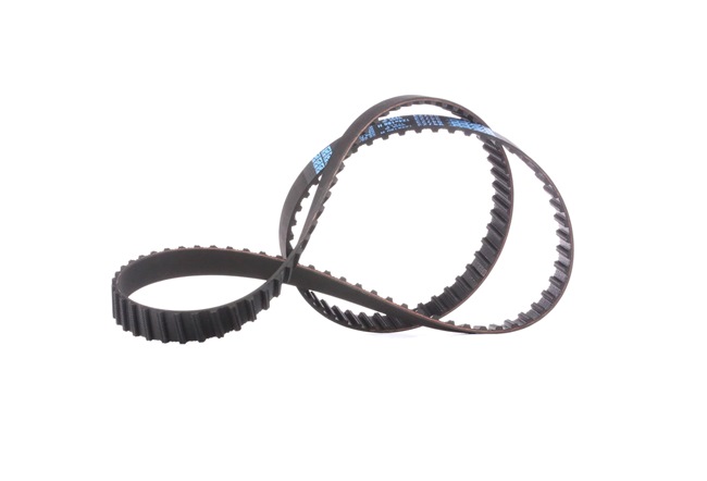 Acquista online DAYCO Cinghia dentata Art.: 94723