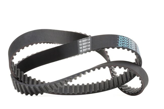 Acquista online DAYCO Cinghia dentata Art.: 94730