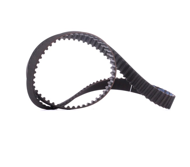 Achetez des Courroie de distribution DAYCO 94982 à prix pour 22,49 €