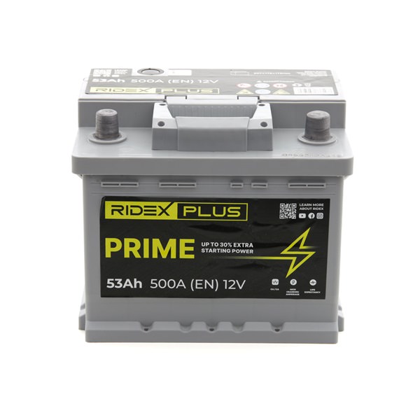 Batterie von RIDEX PLUS für Scénic I (JA0/1_, FA0_) günstig online kaufen