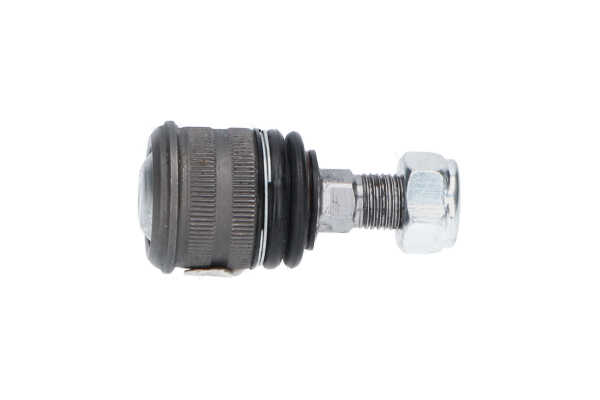 Traggelenk SBJ-10062 von KAVO PARTS günstig für 15,29 € online kaufen