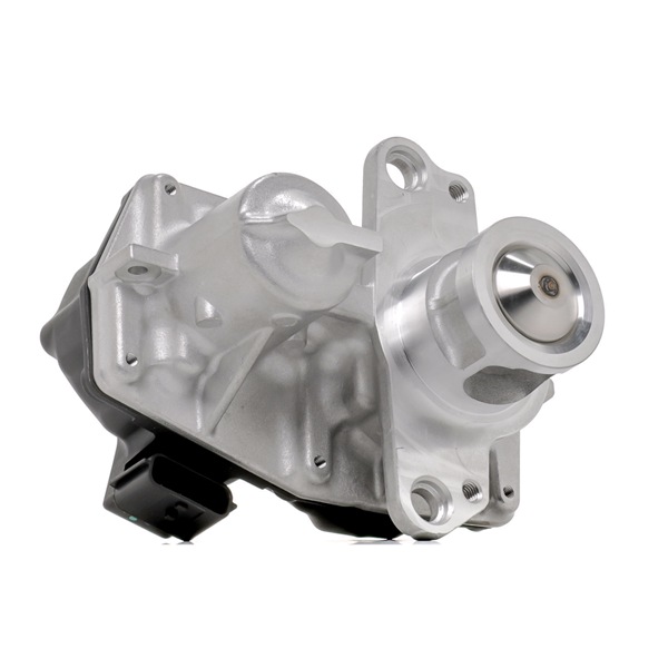 Acquista Valvola EGR da NRF 48725 a buon mercato per soli 116,23 €
