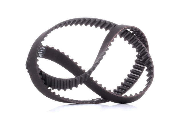 Acquista online DAYCO Cinghia dentata Art.: 941025