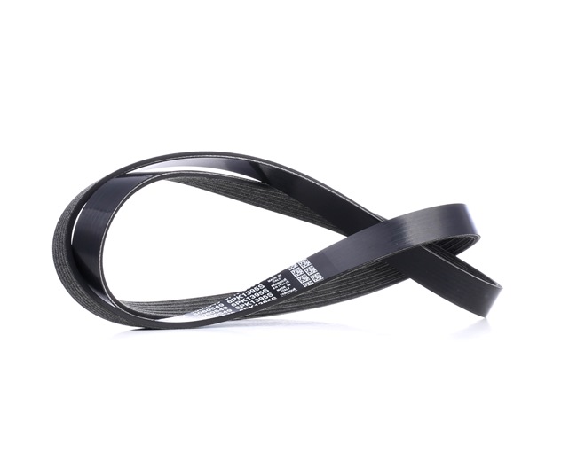 Achetez des Courroie Poly-V DAYCO 6PK1395S à prix pour 19,98 €