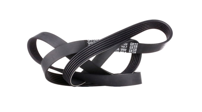 Acquista online DAYCO Cinghia servizi Art.: 6PK1538