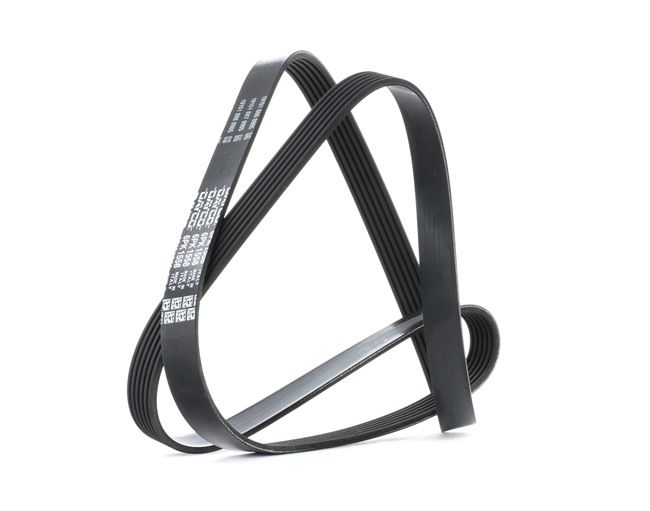 Compre Correia trapezoidal estriada da DAYCO 6PK1558 a um preço baixo por 16,80 €