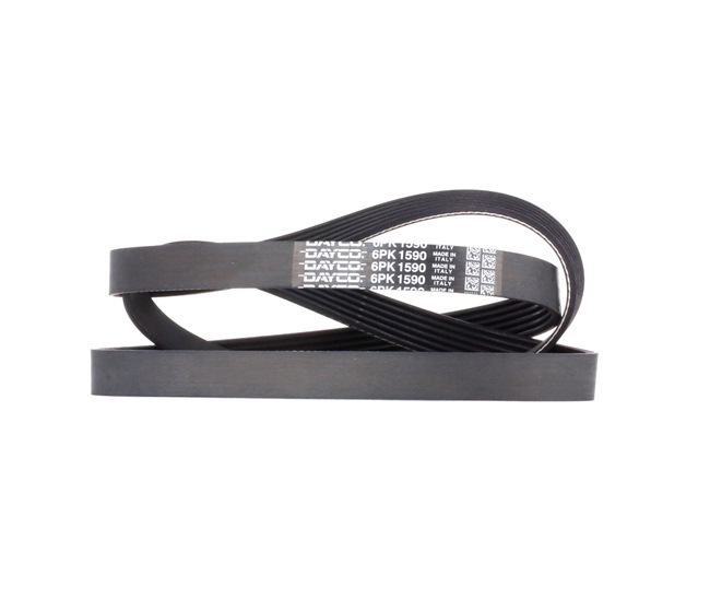 Online Shop für Keilrippenriemen von DAYCO EAN: 8021787507393