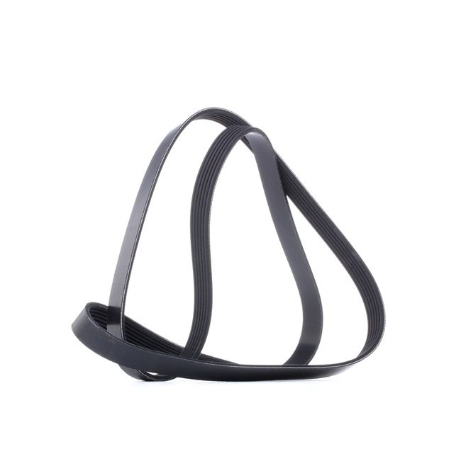 Acquista online DAYCO Cinghia servizi Art.: 6PK1600