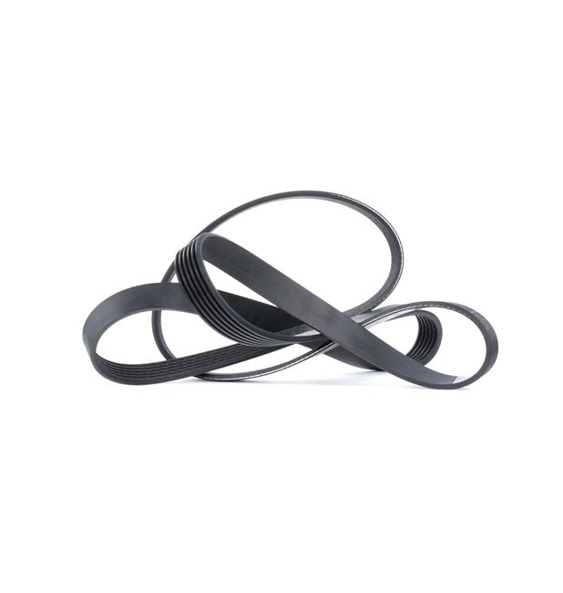 Achetez des Courroie Poly-V DAYCO 6PK1725 à prix pour 18,94 €