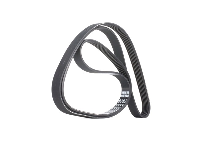 Acquista online DAYCO Cinghia servizi Art.: 6PK1740