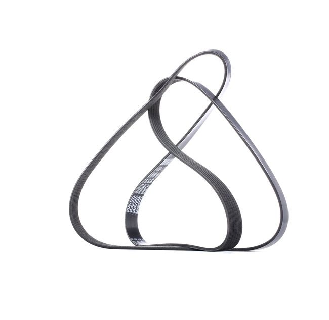 Acquista online DAYCO Cinghia servizi Art.: 6PK1836S
