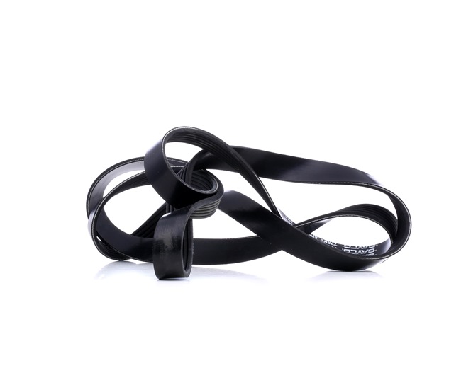 Compre Correia trapezoidal estriada da DAYCO 6PK1975 a um preço baixo por 15,95 €
