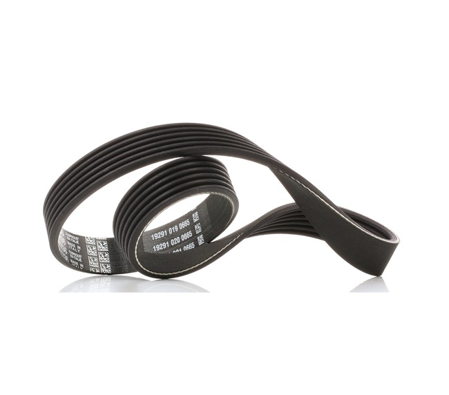 Acquista online DAYCO Cinghia servizi Art.: 6PK736