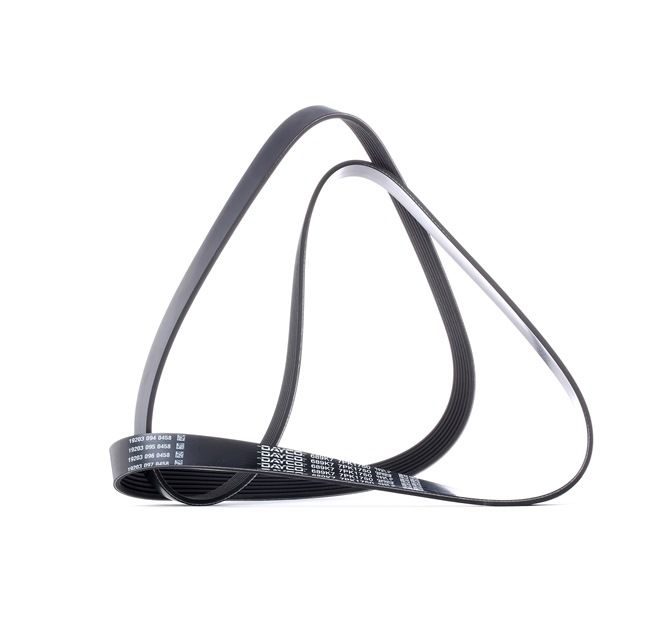 Original DAYCO Keilrippenriemen online kaufen