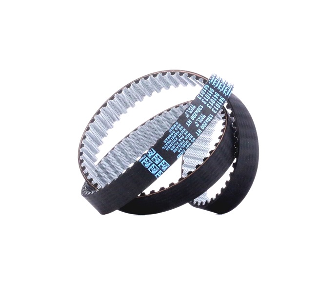 Acquista online DAYCO Cinghia dentata Art.: 941013