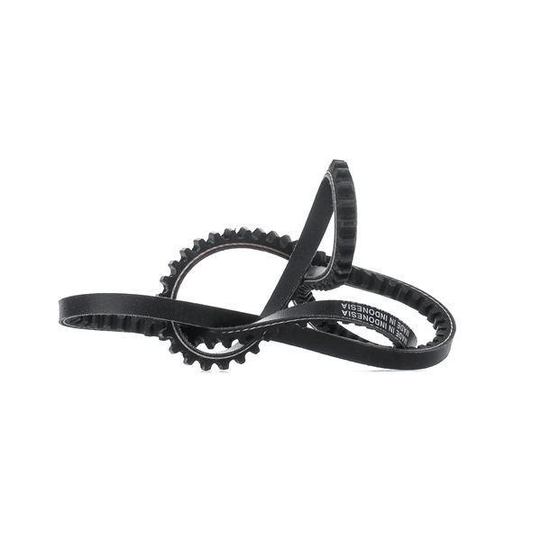 Achetez des Courroie trapézoïdale DAYCO 10A1025C à prix pour 6,56 €