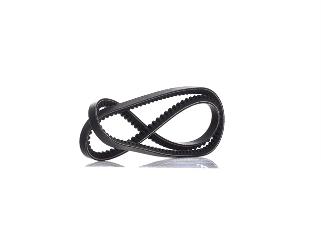 Acquista online DAYCO Cinghia trapezoidale Art.: 10A1100C