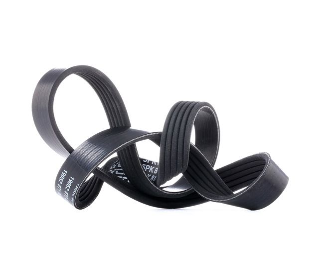 Køb DAYCO Kilerem Art.: 5PK810 online