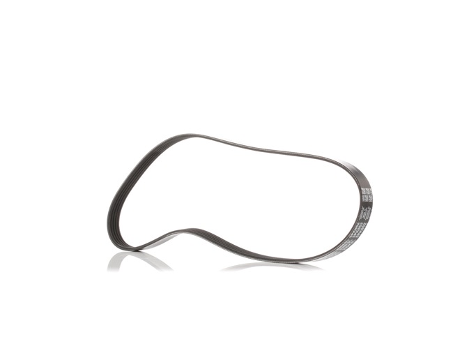 Acquista online DAYCO Cinghia servizi Art.: 5PK862