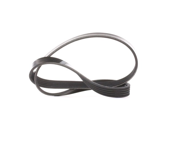 Acquista online DAYCO Cinghia servizi Art.: 5PK880