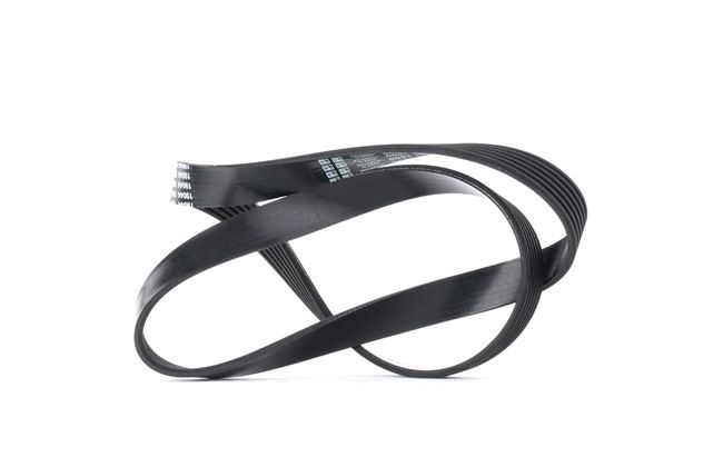 Acquista online DAYCO Cinghia servizi Art.: 6PK1000