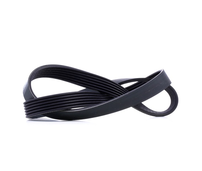 Acquista online DAYCO Cinghia servizi Art.: 6PK1033