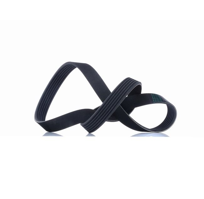 Achetez des Courroie Poly-V DAYCO 6PK1065 à prix pour 13,18 €