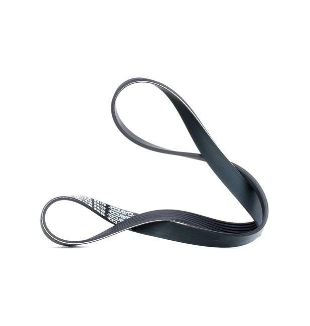 Acquista online DAYCO Cinghia servizi Art.: 6PK1069