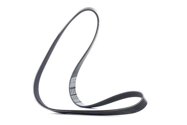 Achetez des Courroie Poly-V DAYCO 6PK1076 à prix pour 15,03 €