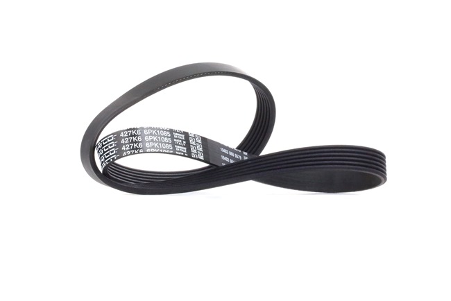 Acquista online DAYCO Cinghia servizi Art.: 6PK1085