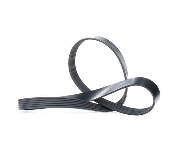 Acquista online DAYCO Cinghia servizi Art.: 6PK1115