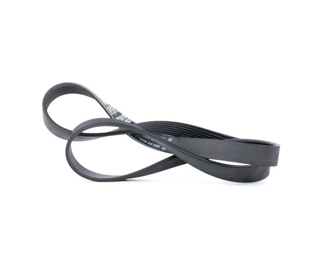 Original DAYCO Keilrippenriemen online kaufen