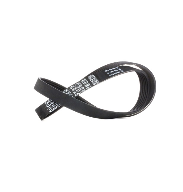 Online Shop für Keilrippenriemen von DAYCO EAN: 8021787548921