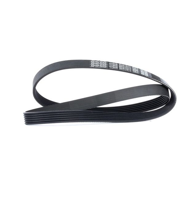 Acquista Cinghia servizi da DAYCO 6PK1217 a buon mercato per soli 15,82 €
