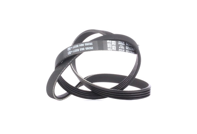 Acquista Cinghia servizi da DAYCO 4PK1125 a buon mercato per soli 10,52 €