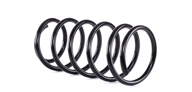 Fahrwerksfeder 4095811 von LESJÖFORS günstig für 44,72 € online kaufen