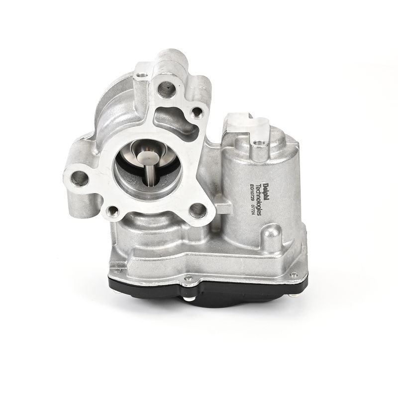 Acquista Valvola EGR da DELPHI EG10729-12B1 a buon mercato per soli 163,82 €