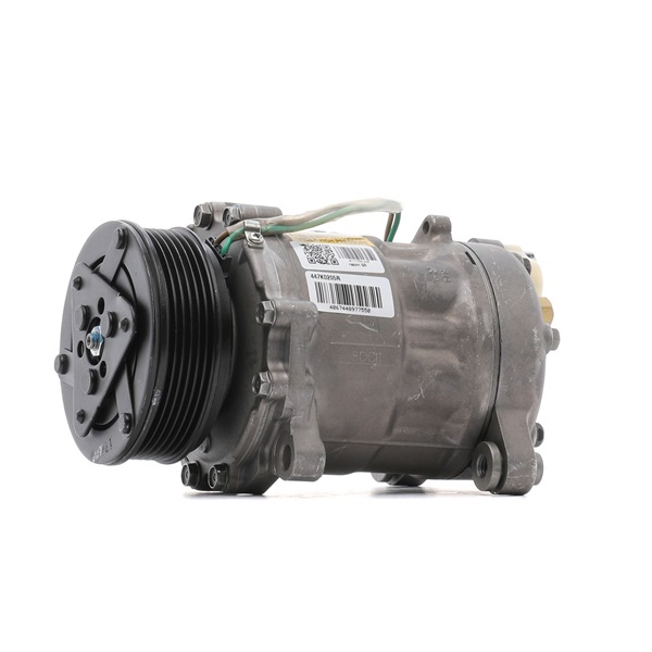 Acquista Compressore aria condizionata da RIDEX REMAN 447K0205R a buon mercato per soli 168,68 €