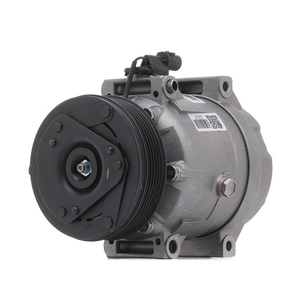 Acquista Compressore aria condizionata da RIDEX REMAN 447K0291R a buon mercato per soli 209,53 €