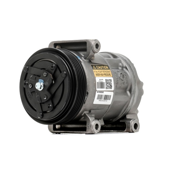 Achetez des Compresseur de climatisation RIDEX REMAN 447K0924R à prix pour 248,82 €
