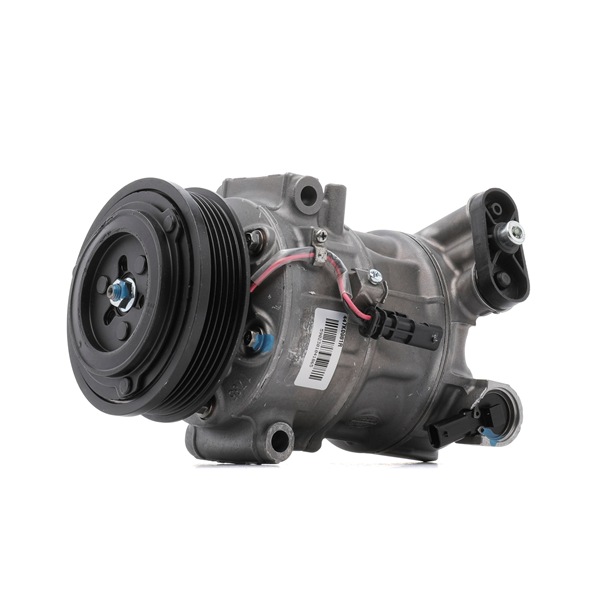 Osta Ilmastoinnin kompressori RIDEX REMAN:llä 447K0981R edullisesti hintaan 282,36 €