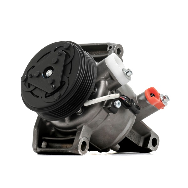Acquista Compressore aria condizionata da RIDEX REMAN 447K1005R a buon mercato per soli 227,41 €