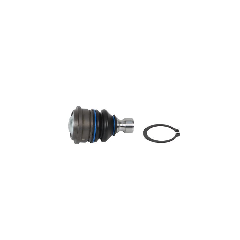 Compre Rótula de suspensão da DELPHI TC8549 a um preço baixo por 13,88 €