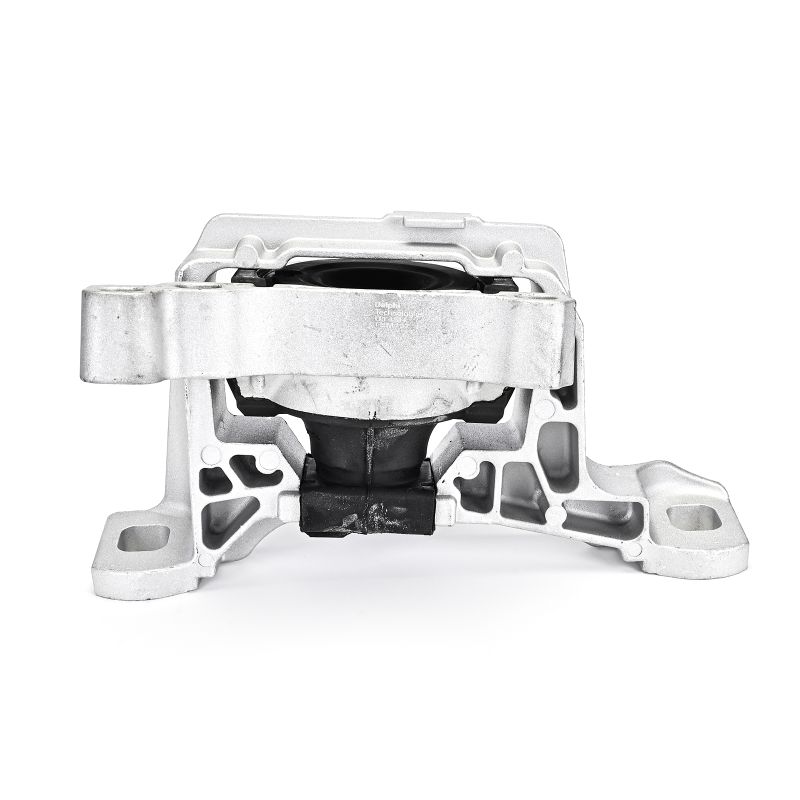 Acquista Supporto motore da DELPHI TEM137 a buon mercato per soli 64,02 €
