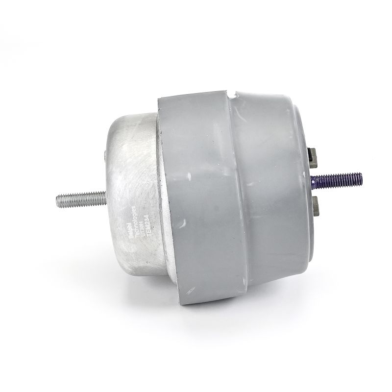 Acquista Supporto motore da DELPHI TEM234 a buon mercato per soli 60,15 €