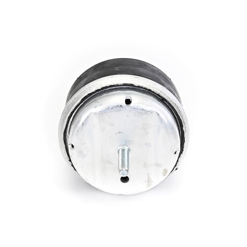 Acquista Supporto motore da DELPHI TEM239 a buon mercato per soli 27,74 €