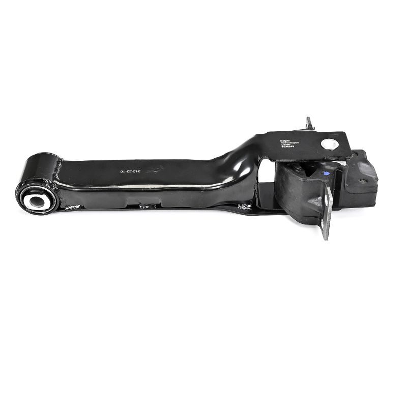 Acquista Supporto motore da DELPHI TEM243 a buon mercato per soli 61,09 €