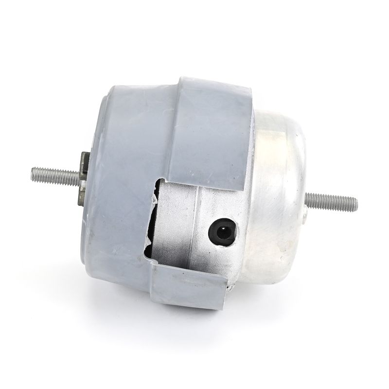 Acquista Supporto motore da DELPHI TEM288 a buon mercato per soli 67,18 €