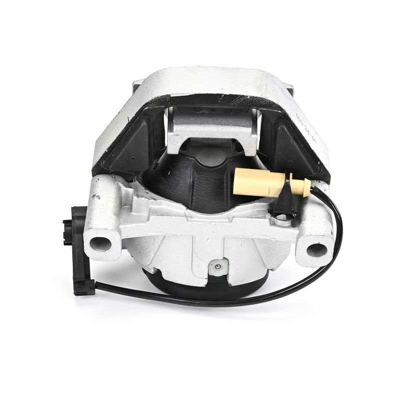 Acquista Supporto motore da DELPHI TEM289 a buon mercato per soli 110,31 €