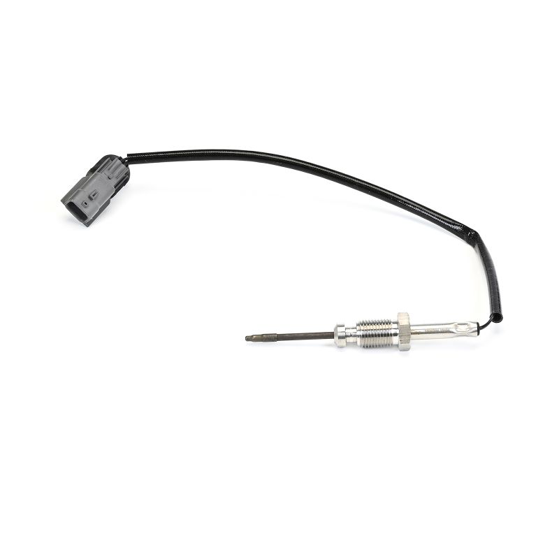 Köp Avgastempgivare av DELPHI TS30384-12B1 till det låga priset 894,28 kr